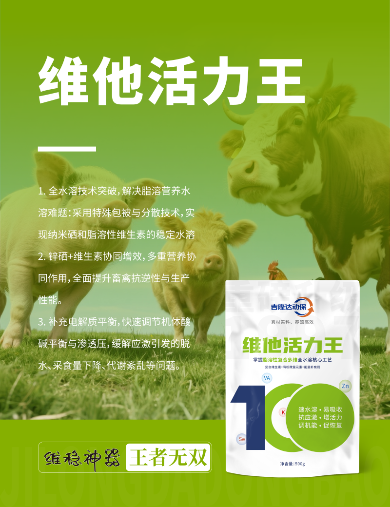 20250607产品海报-11