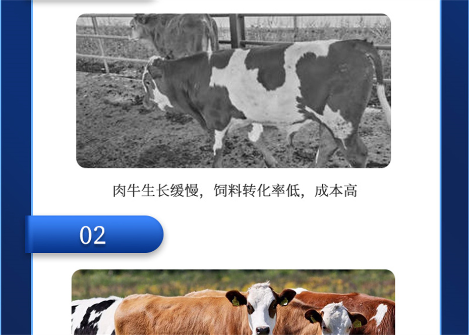 吉隆达动保牛饲料添加剂肉牛多矿产品介绍