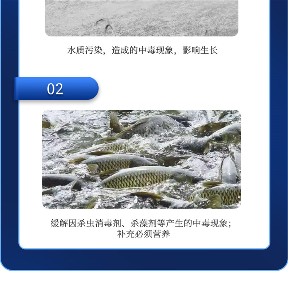 吉隆达动保水产饲料添加剂抗激1号产品介绍