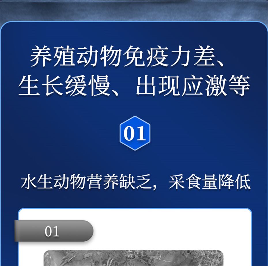 吉隆达动保水产饲料添加剂维他1号产品介绍