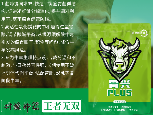 育肥羊肚子胀得像皮球，放气后几天又犯？瘤胃异常发酵在作怪！