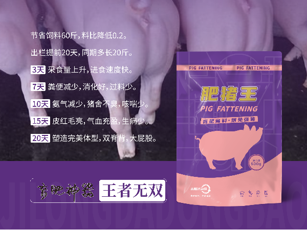 0.1%-0.2%的投入，5倍以上的回报——肥猪王的综合效益分析