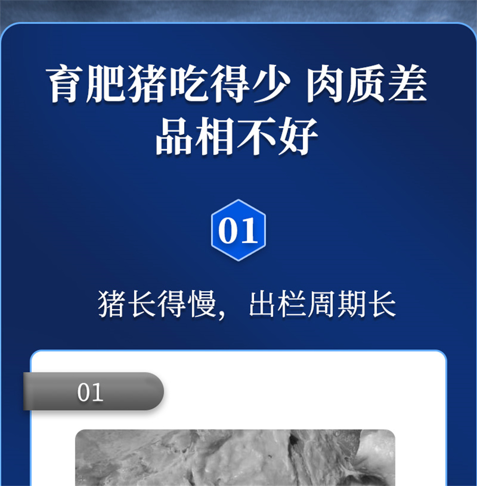 吉隆达动保猪饲料添加剂猪肉鲜