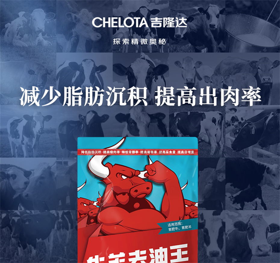 吉隆达动保牛羊饲料添加剂牛羊去油王