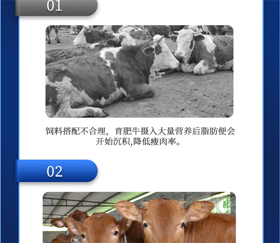 吉隆达动保牛羊饲料添加剂牛羊去油王