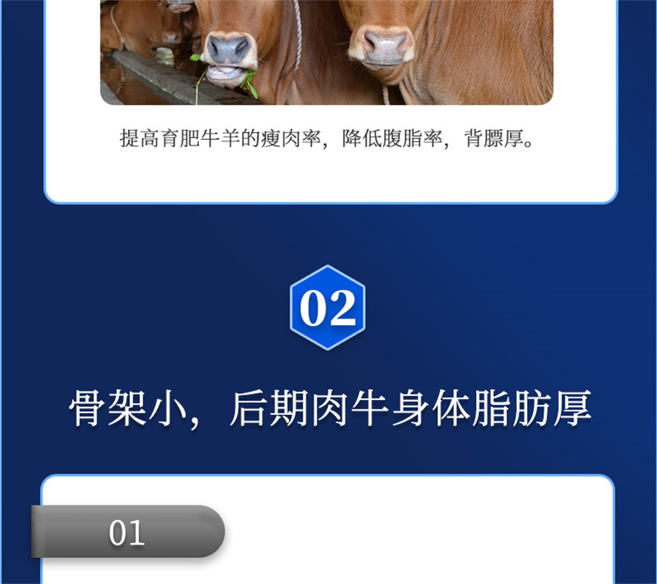 吉隆达动保牛羊饲料添加剂牛羊去油王