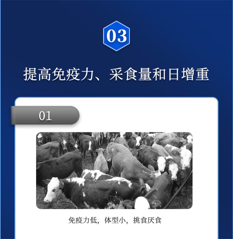 吉隆达动保牛羊饲料添加剂牛羊去油王