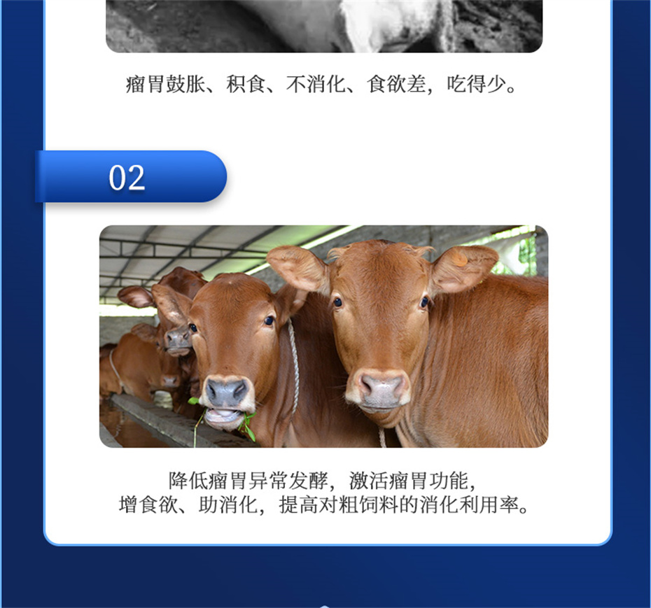 吉隆达动保牛羊饲料添加剂瘤胃宝