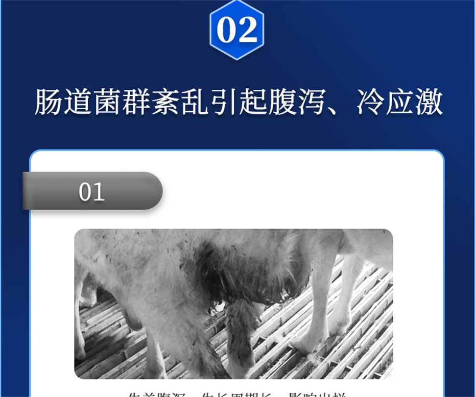 吉隆达动保牛羊饲料添加剂瘤胃宝