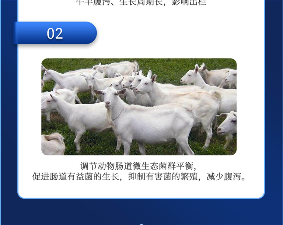 吉隆达动保牛羊饲料添加剂瘤胃宝