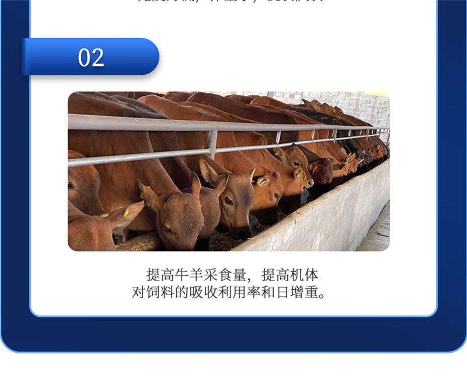 吉隆达动保牛羊饲料添加剂瘤胃宝