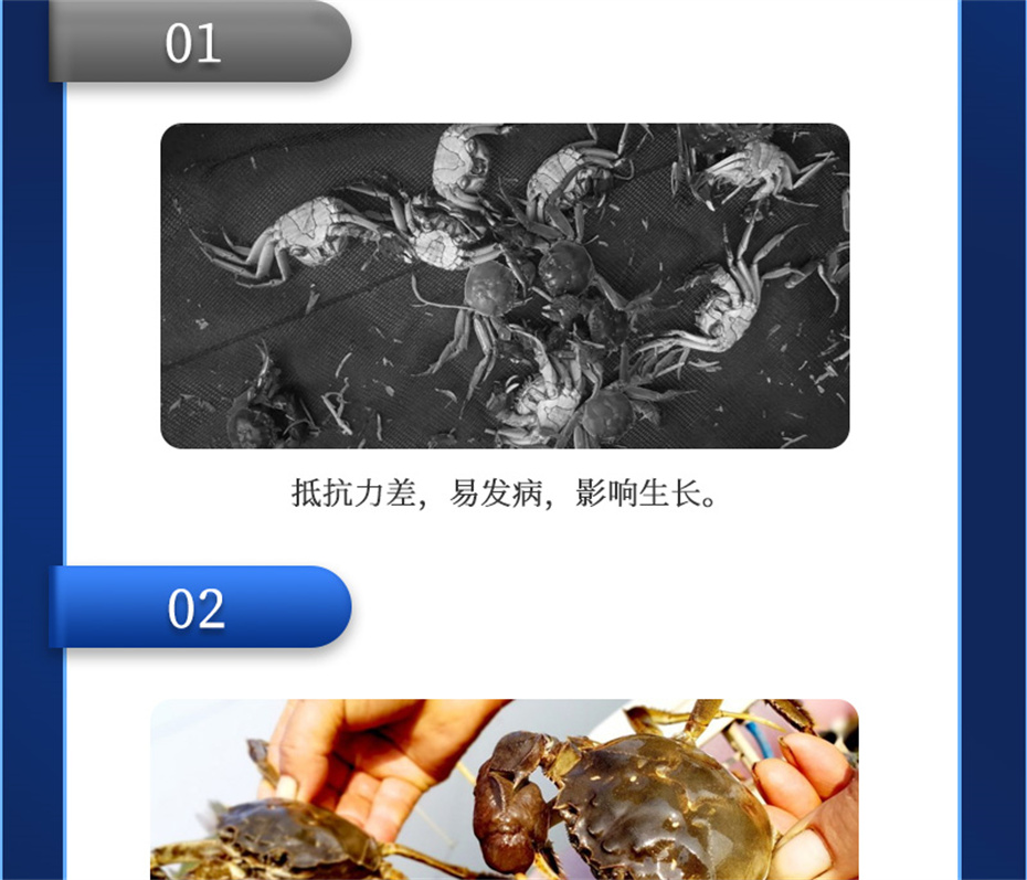 吉隆达动保水产饲料添加剂肝胆宝