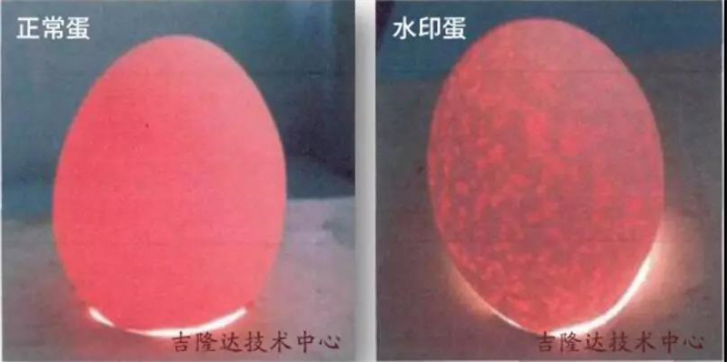 饲料添加剂