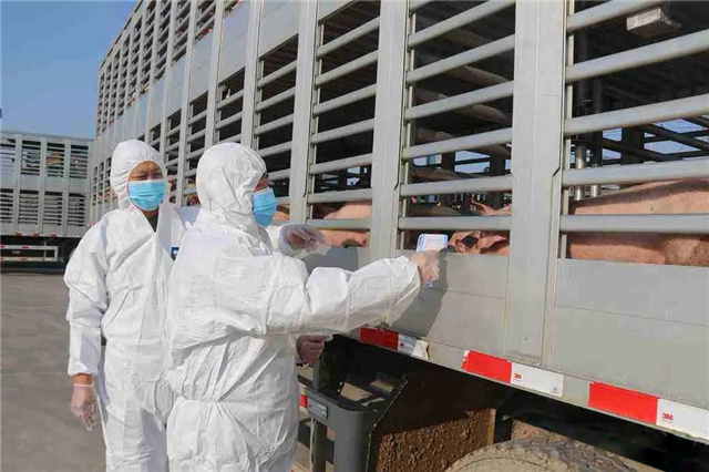 饲料添加剂