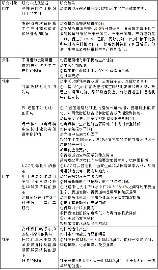 报告内容5