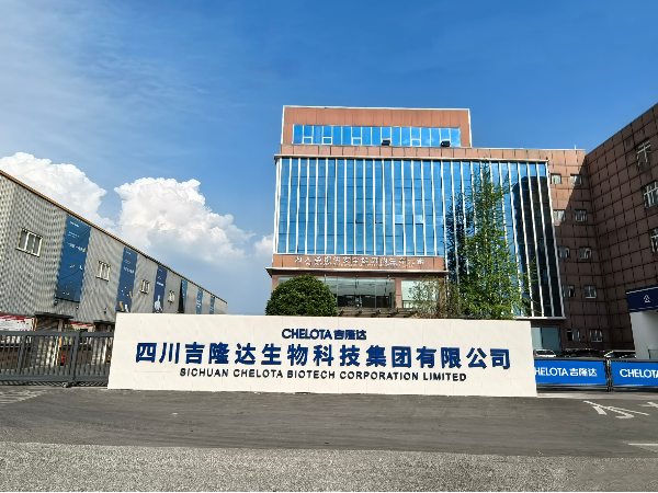 蓄势腾飞——吉隆达发展规划与未来愿景