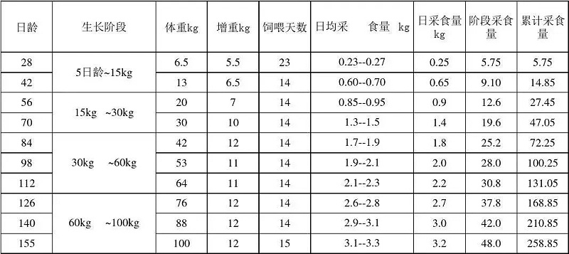 猪不同阶段采食量