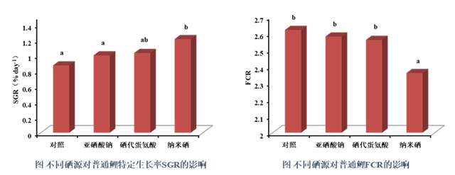 饲料添加剂