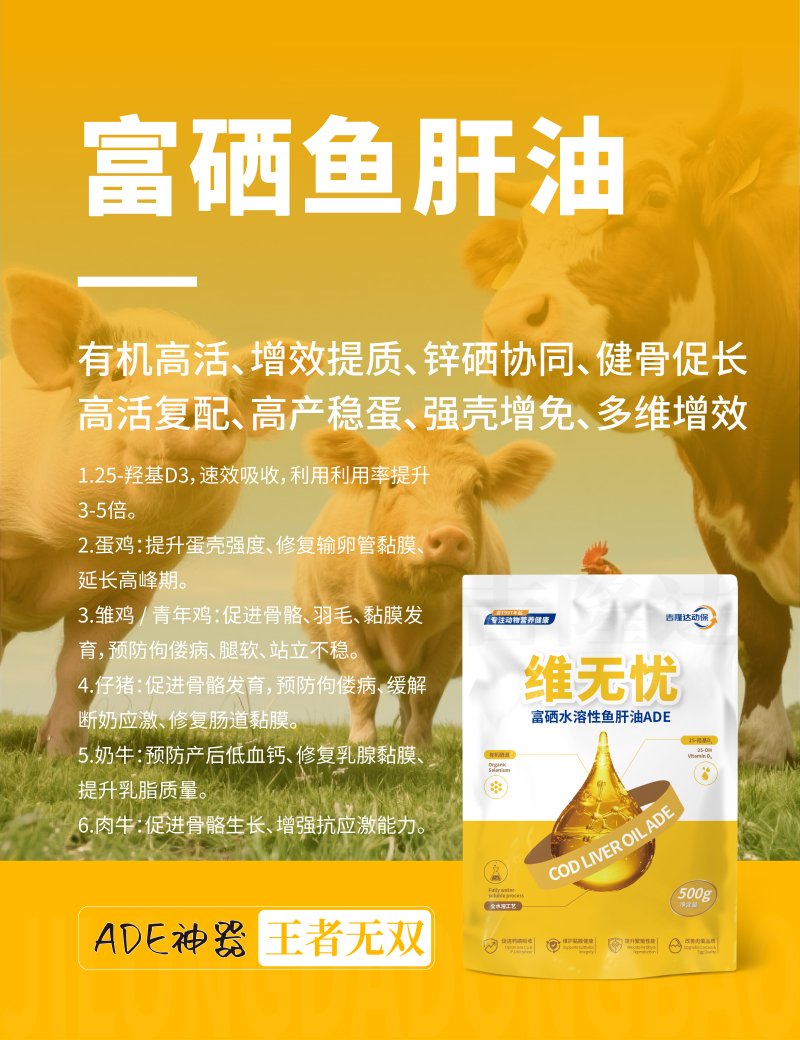 20250607产品海报-14