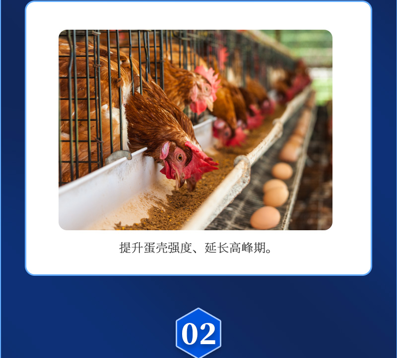 维无忧-详情_03