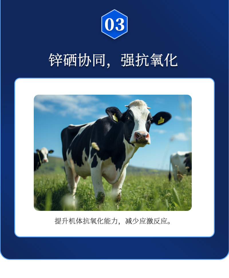 维无忧-详情_05