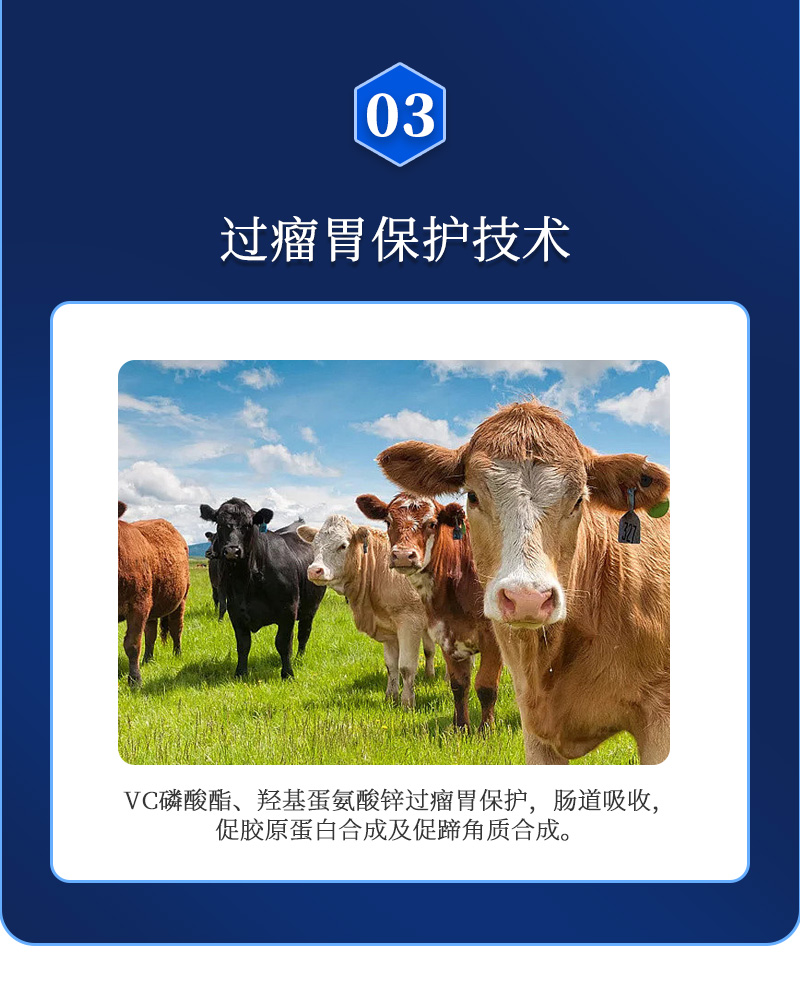 胃安肽详情_04