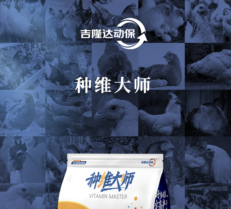 种维大师详情_01