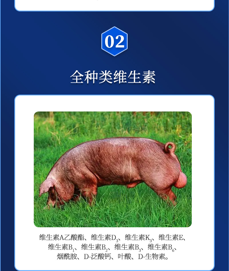 种维大师详情_03