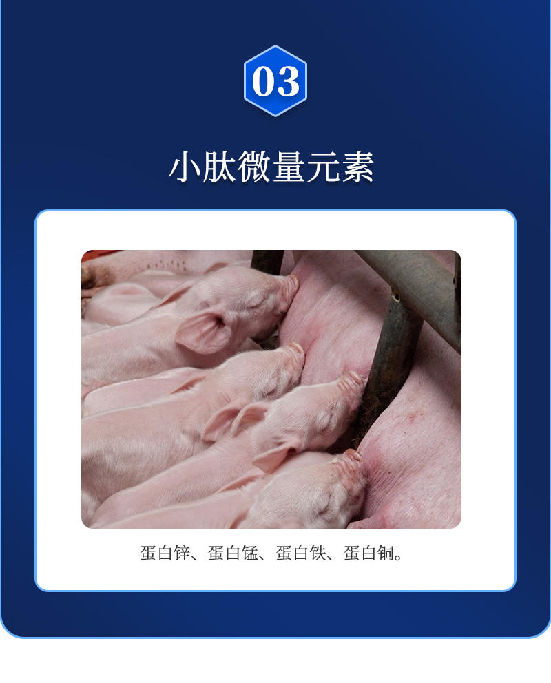 种维大师详情_04