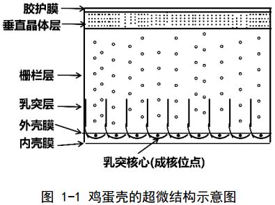 饲料添加剂