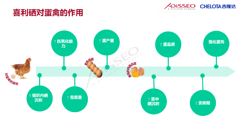 图片12