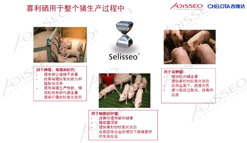 图片15