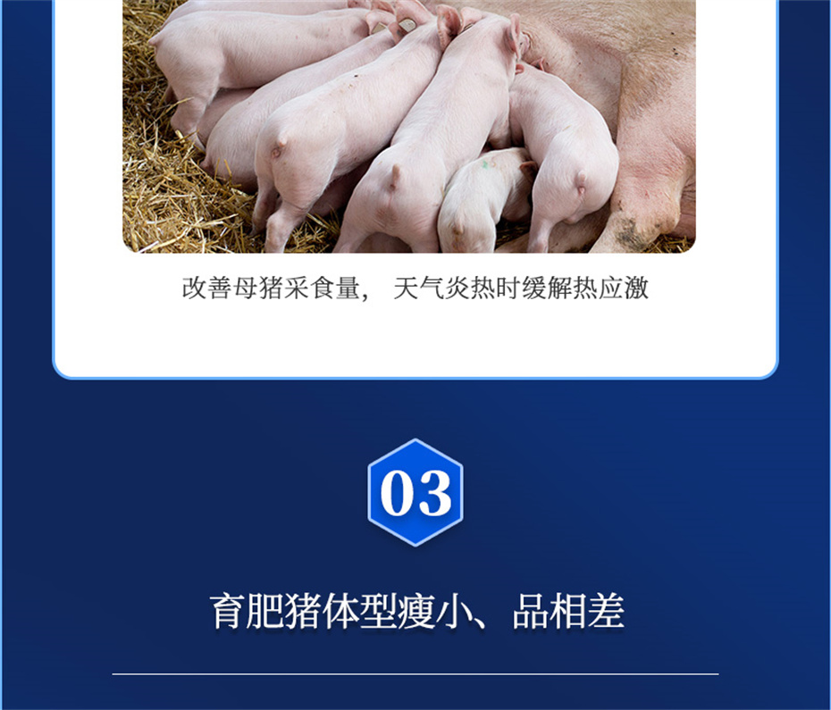 吉隆达动保猪饲料添加剂母润通产品介绍