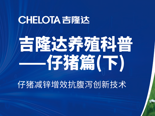 仔猪减锌增效抗腹泻创新技术（下篇）