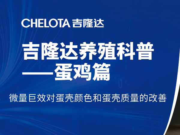 微量巨效对蛋壳颜色和蛋壳质量的改善