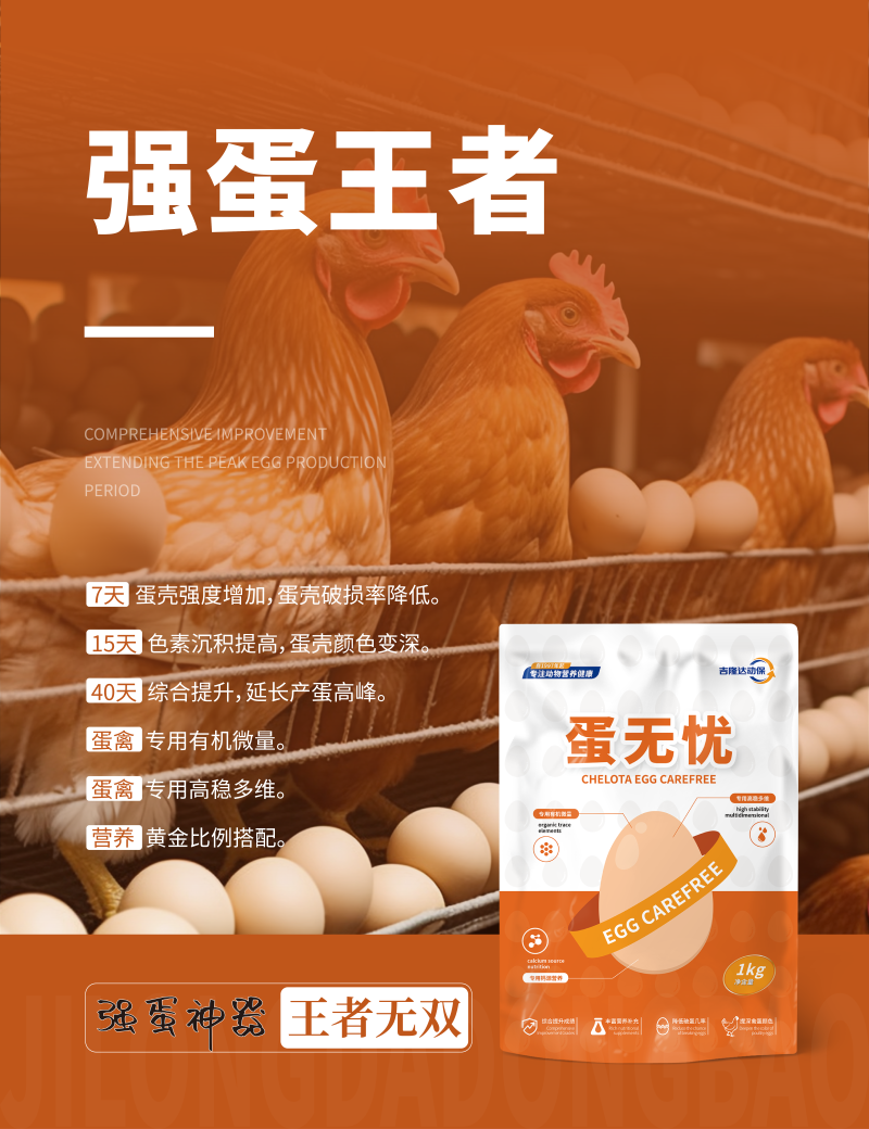 20250607产品海报-02