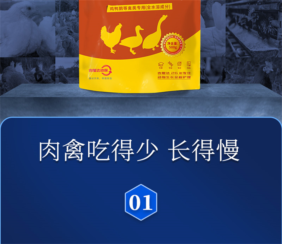 吉隆达动保禽饲料添加剂肥禽王产品介绍