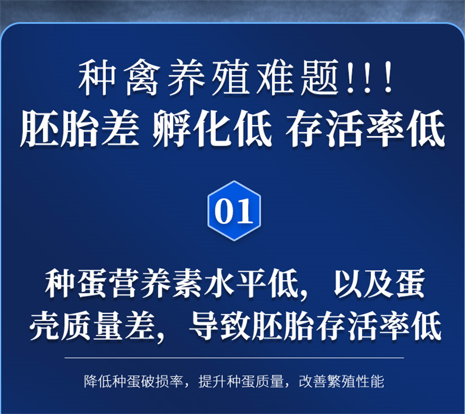 吉隆达动保禽饲料添加剂孵健宝产品介绍