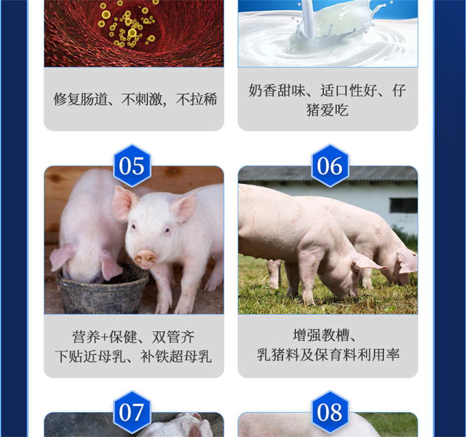 吉隆达动保猪饲料添加剂富铁乳