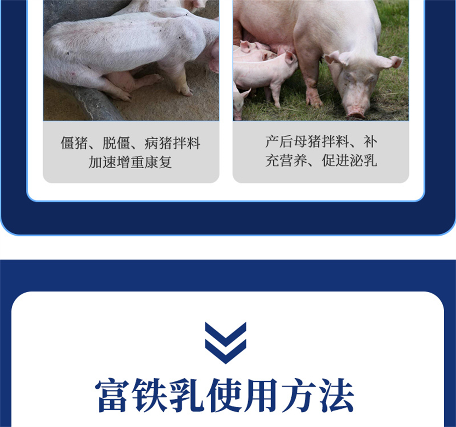 吉隆达动保猪饲料添加剂富铁乳
