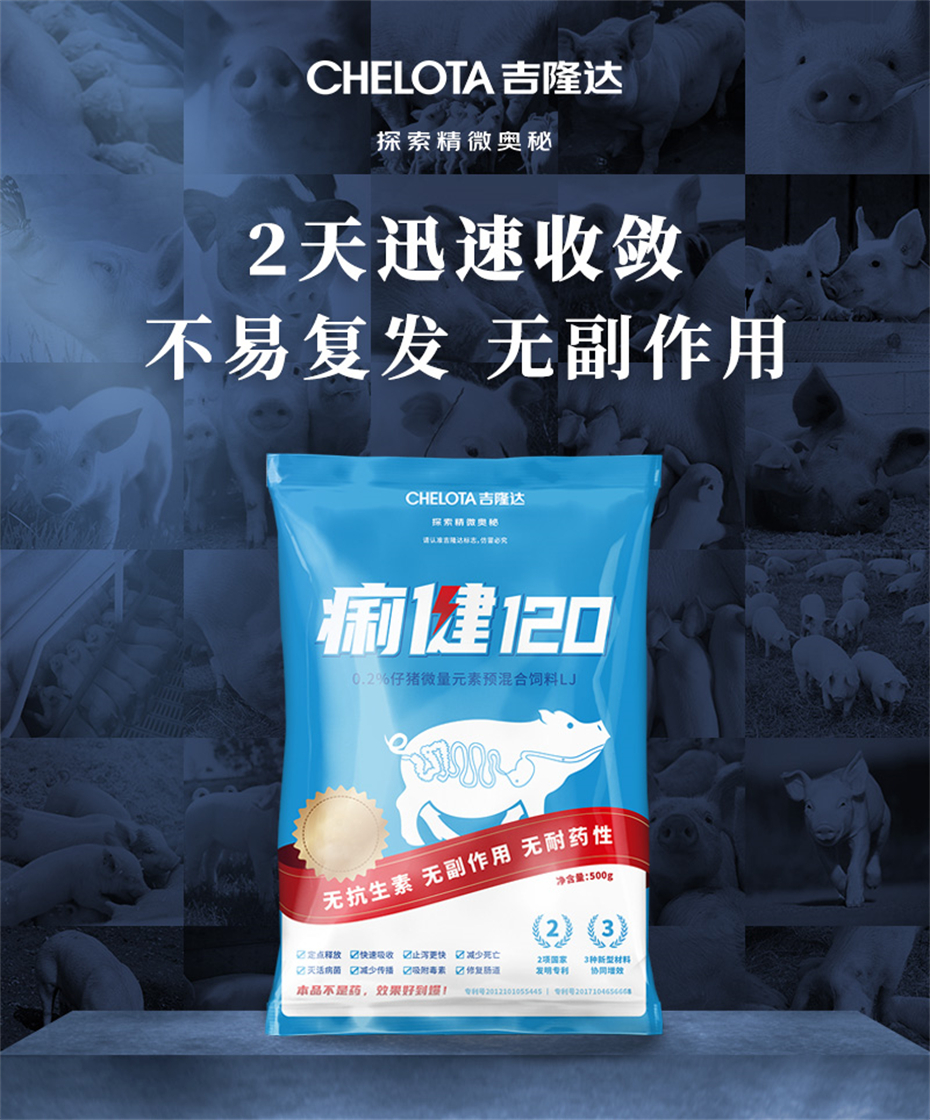 吉隆达动保猪饲料添加剂痢健120