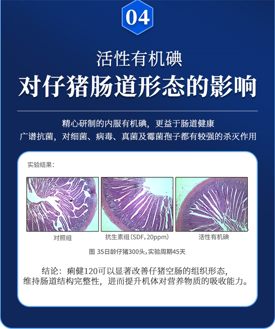 吉隆达动保猪饲料添加剂痢健120