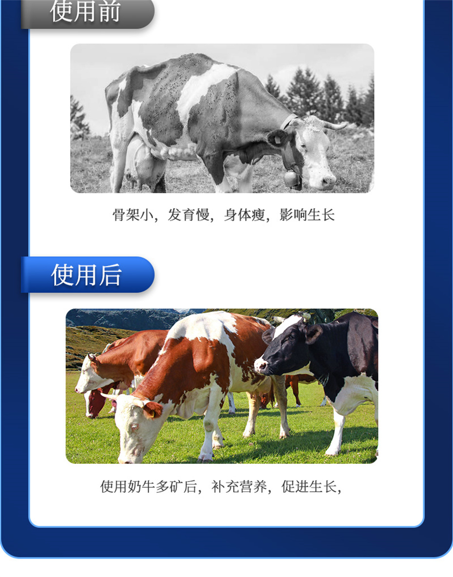 吉隆达动保牛饲料添加剂奶牛多矿