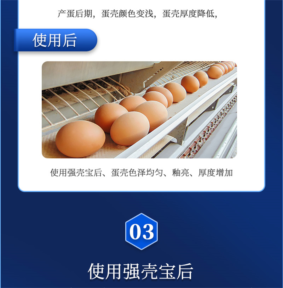 吉隆达动保禽饲料添加剂强壳宝
