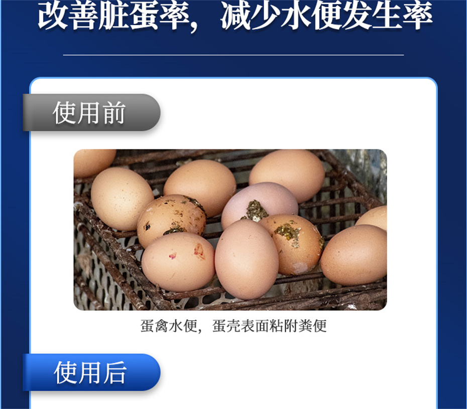 吉隆达动保禽饲料添加剂强壳宝