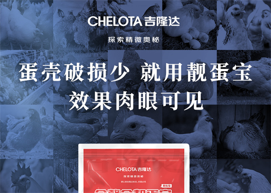 吉隆达动保禽饲料添加剂靓蛋宝