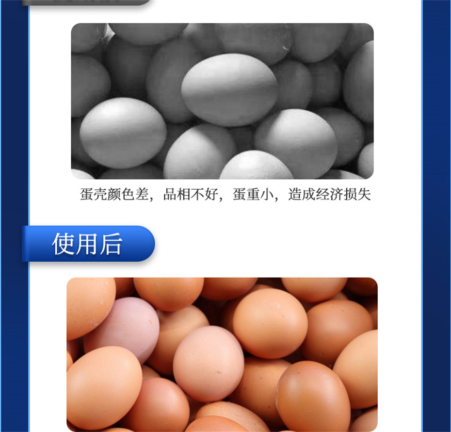 吉隆达动保禽饲料添加剂靓蛋宝