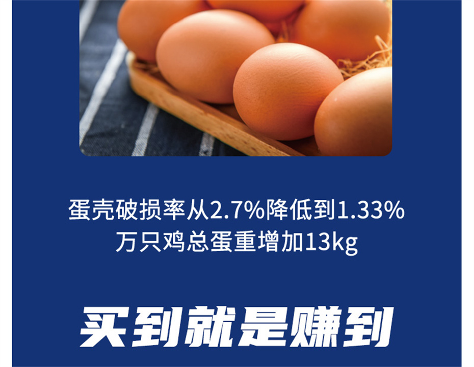 吉隆达动保禽饲料添加剂靓蛋宝
