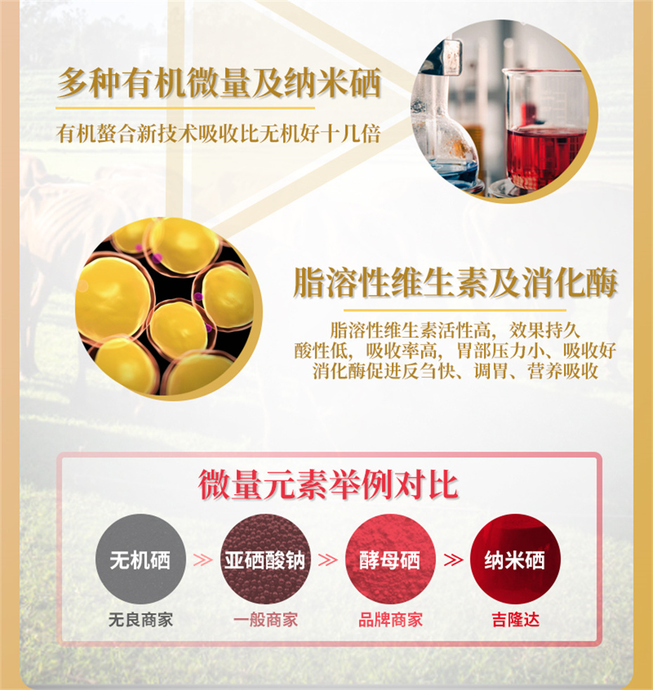 吉隆达动保牛羊饲料添加剂牛羊壮膘王