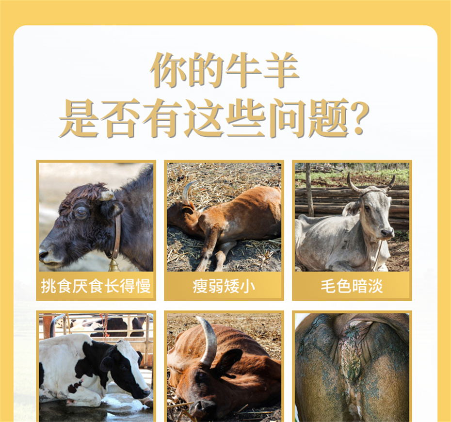 吉隆达动保牛羊饲料添加剂牛羊壮膘王